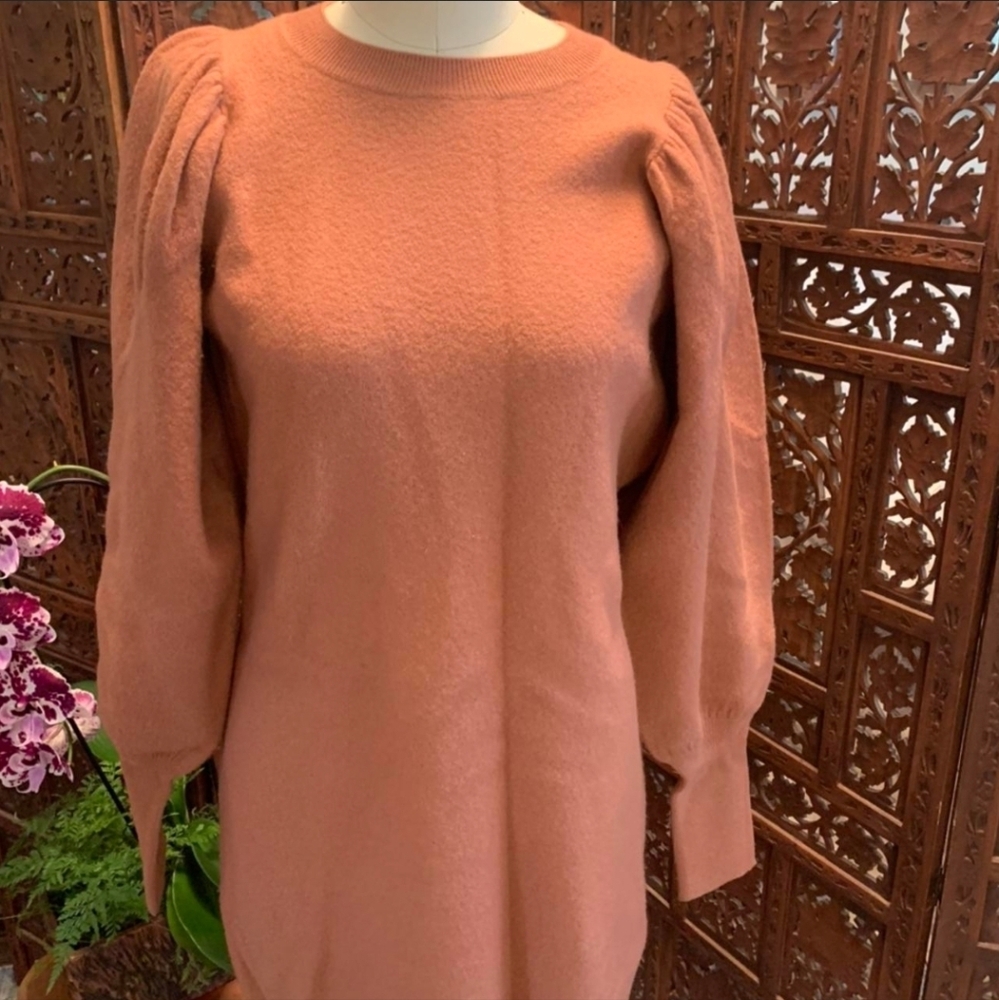 Ulla Johnson Terracotta Long Sleeve Dress